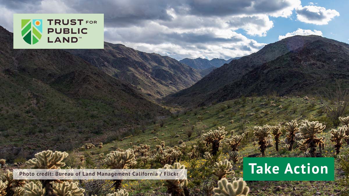 Take Action Protect Chuckwalla from exploitation and development