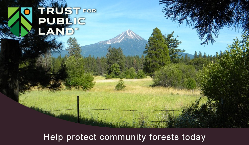 Butte Community Forest