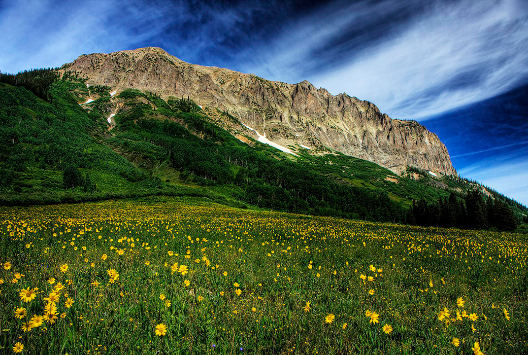 Gunnison National Forest