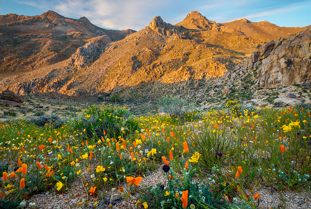 Pacific Crest Trail