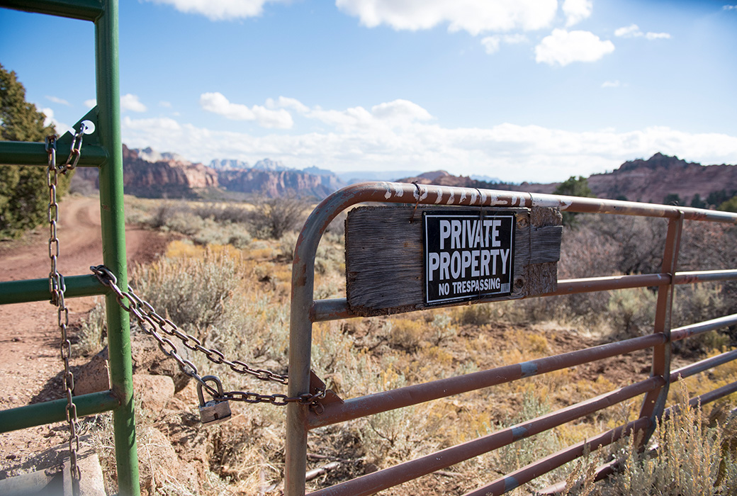 Zion for sale