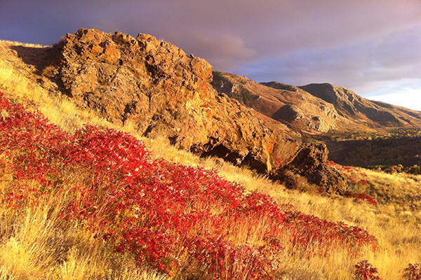 Bonneville Shoreline Trail