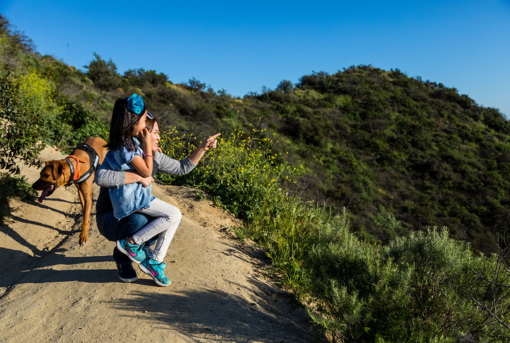 Runyon Canyon, LA