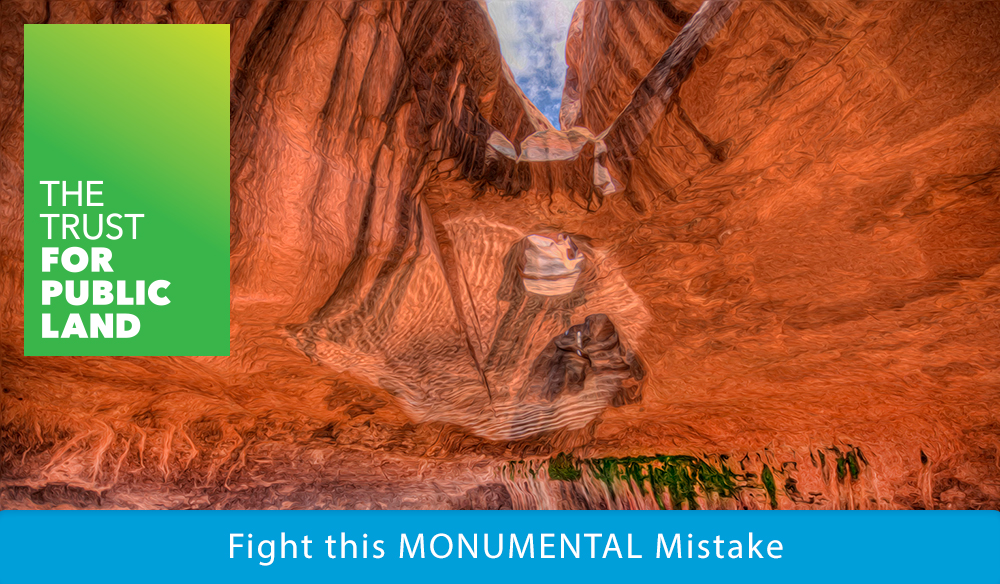 Fight this MONUMENTAL mistake!
