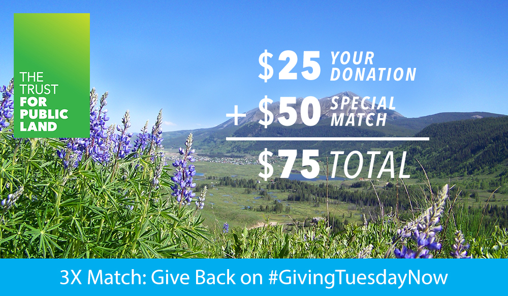 3X Match: Give Back on #GivingTuesdayNow