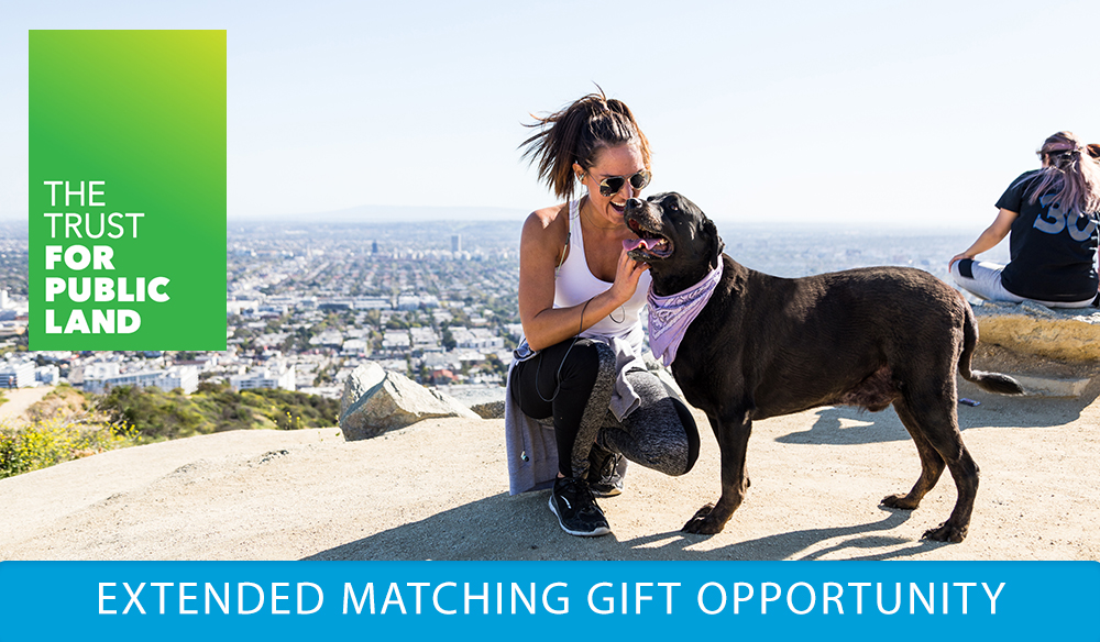 EXTENDED MATCHING GIFT OPPORTUNITY