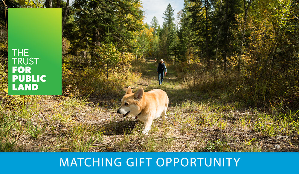 MATCHING GIFT OPPORTUNITY