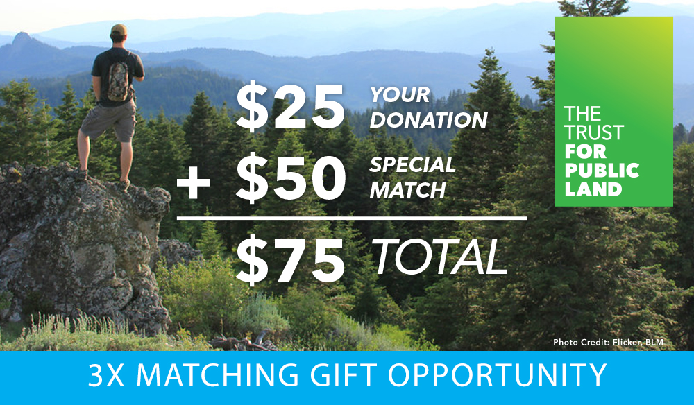 3X MATCHING GIFT OPPORTUNITY