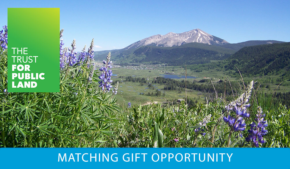 MATCHING GIFT OPPORTUNITY