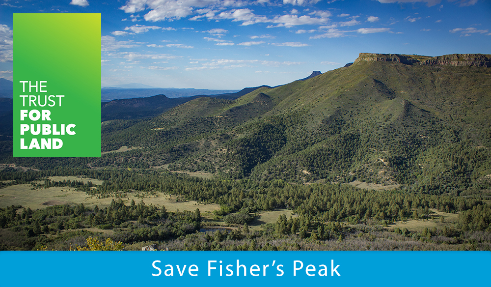 Save Fisher's Peak