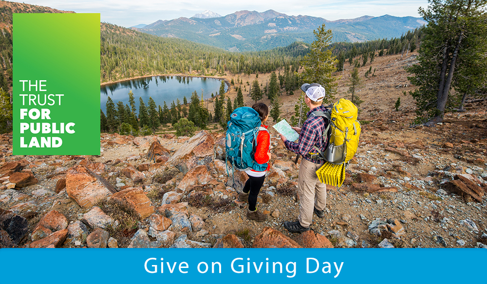 Give on Giving Day