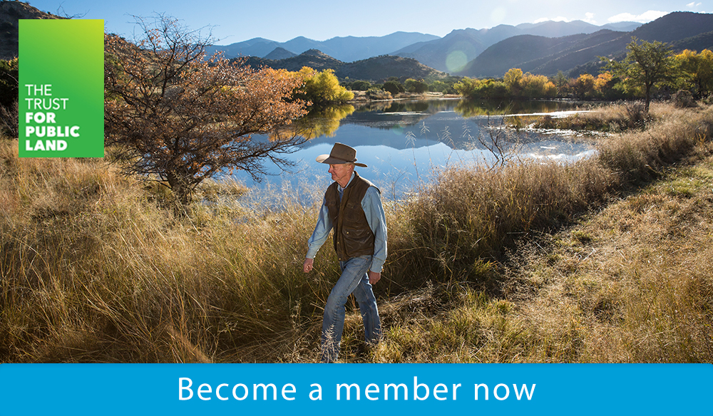 Become a member now