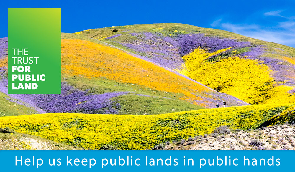 Help us keep public lands in public hands