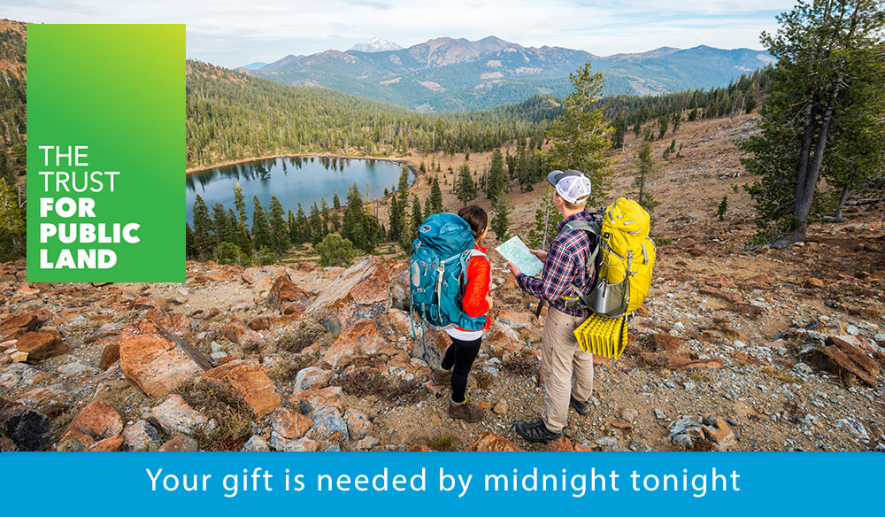 Your gift needed by midnight tonight