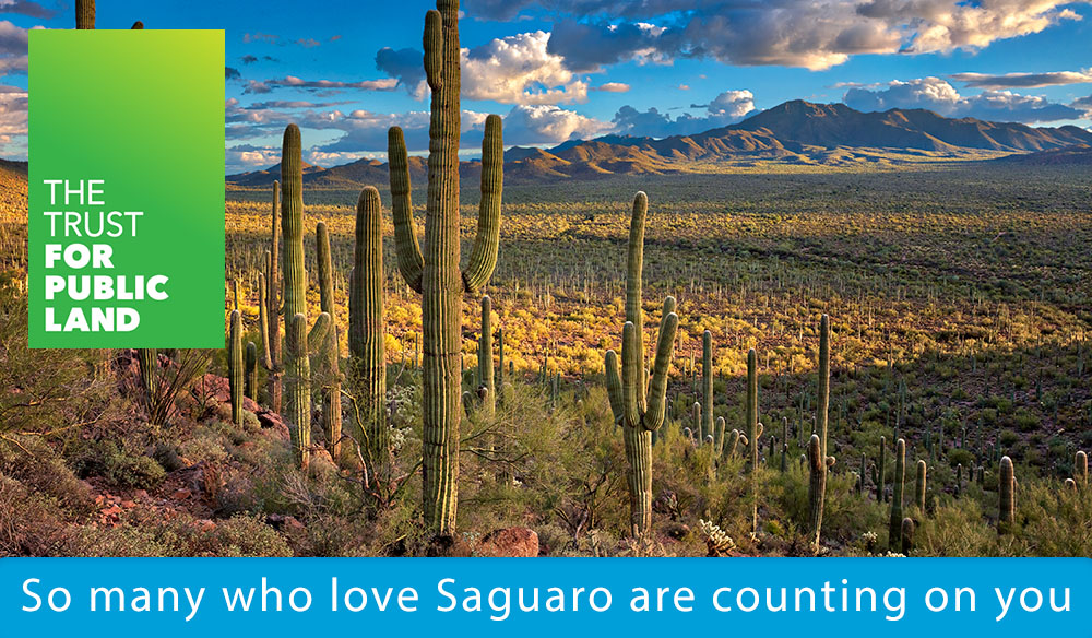 So many who love Saguaro are counting on you