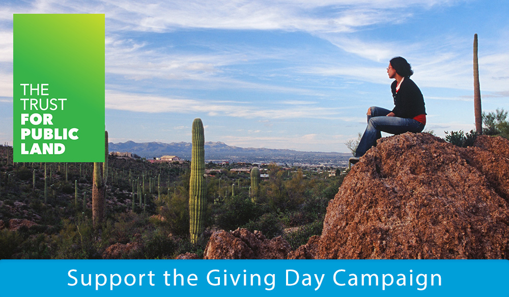 Support the Giving Day Campaign