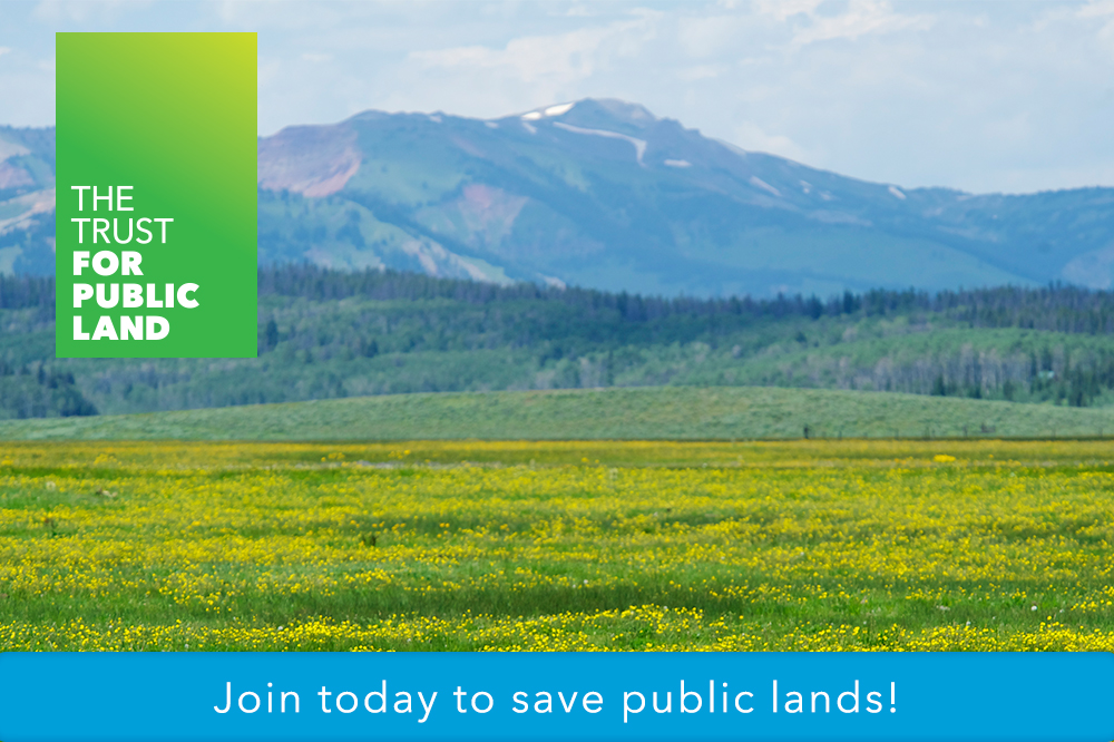 Join today to save public lands! Photo credit: Dave Showalter