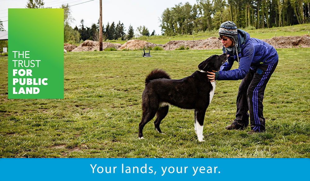 Your lands, your year.