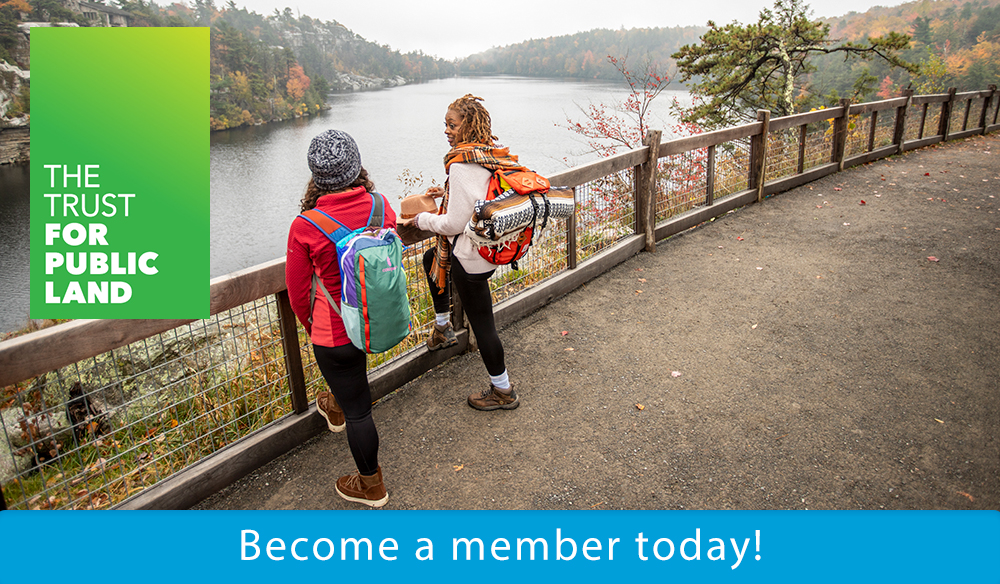 Become a member today!