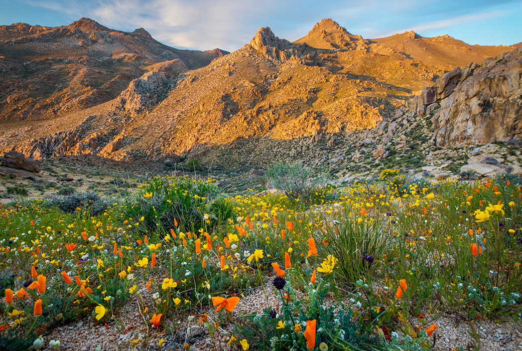 Pacific Crest National Scenic Trail