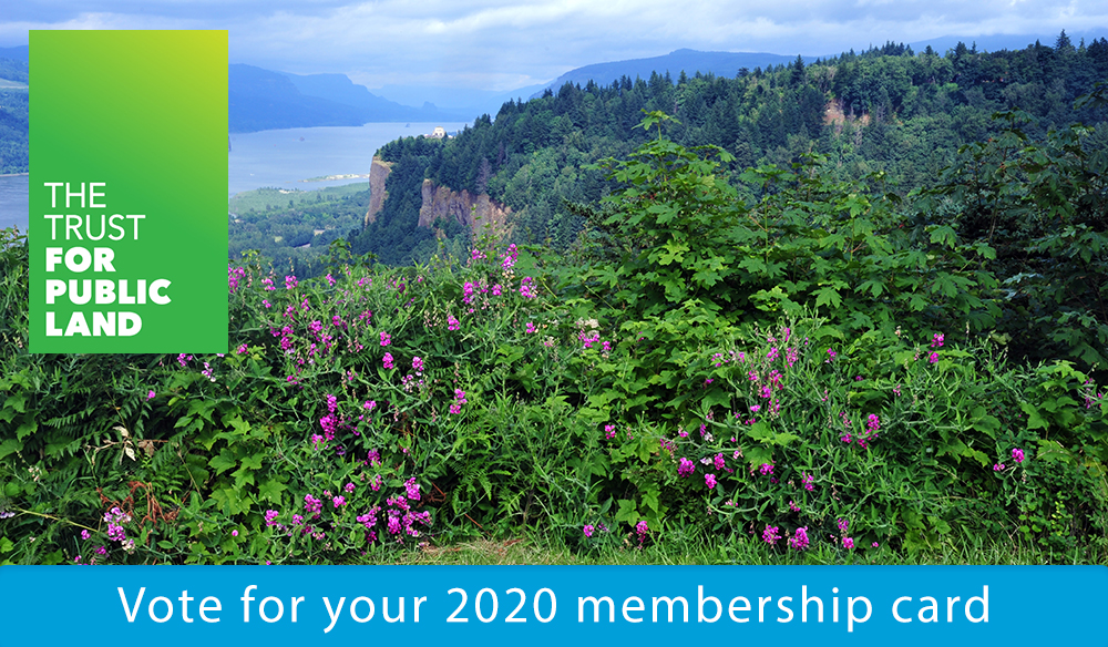 Vote for your 2020 Membership Card