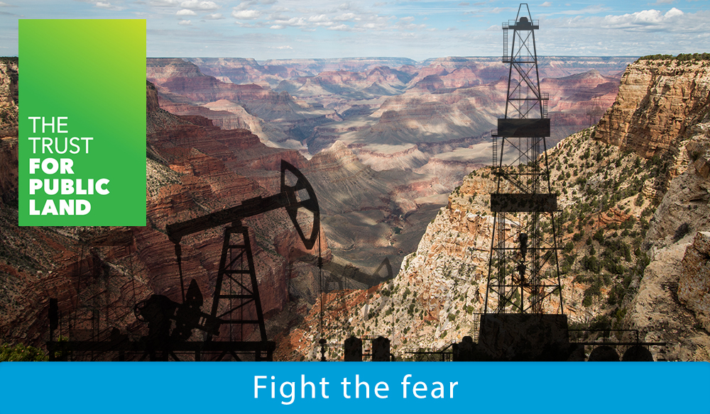 Fight the fear