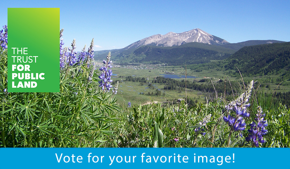 Vote for your favorite image!