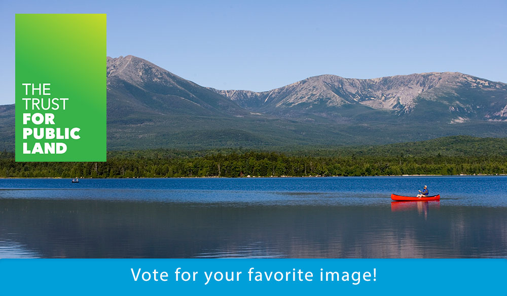 Vote for your favorite image!