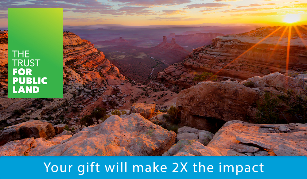 Your gift will make 2X the impact