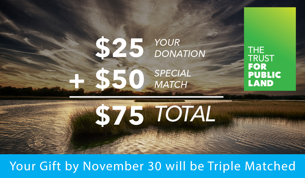 Your Gift by November 30 will be Triple Matched