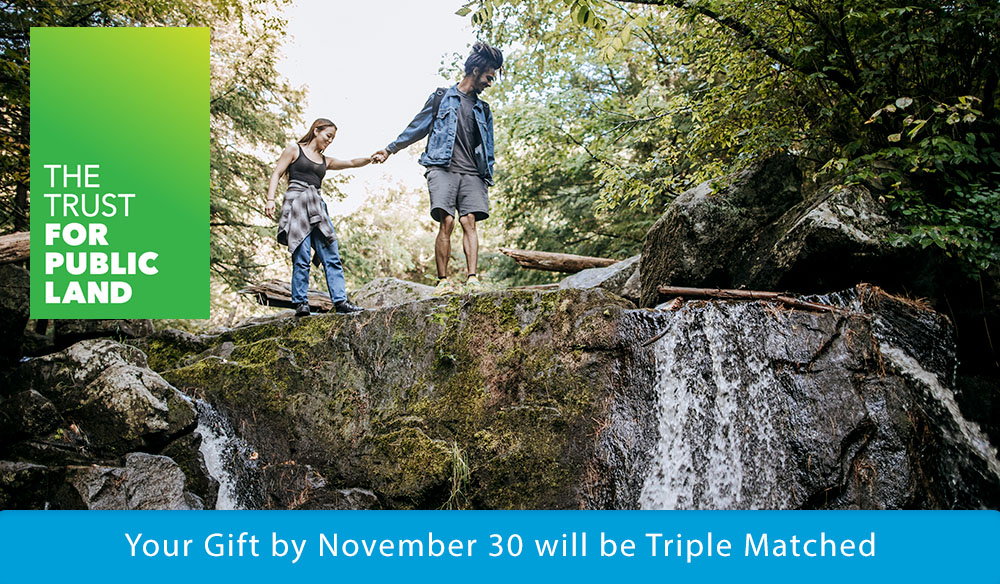 Your Gift by  November 30 will be Triple Matched