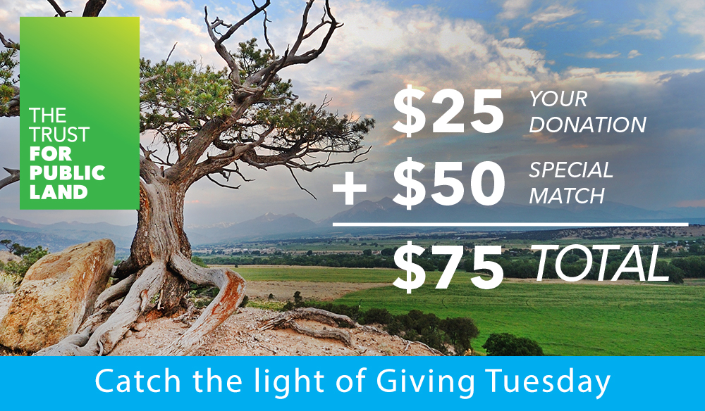 Catch the light of Giving Tuesday