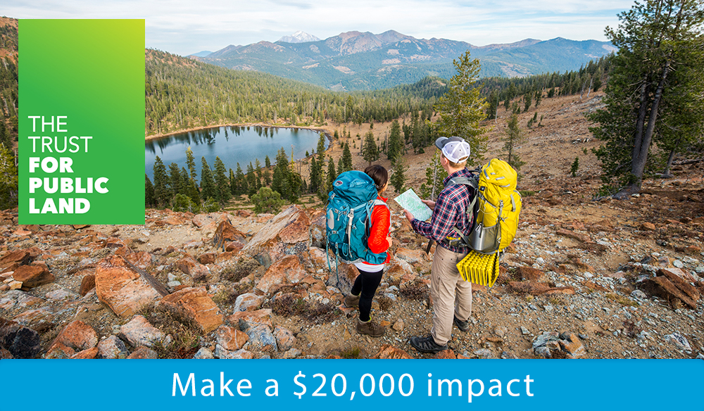 Make a $20,000 impact